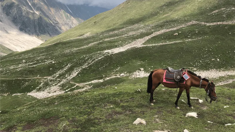 Horse Back Riding in Naran Kaghan