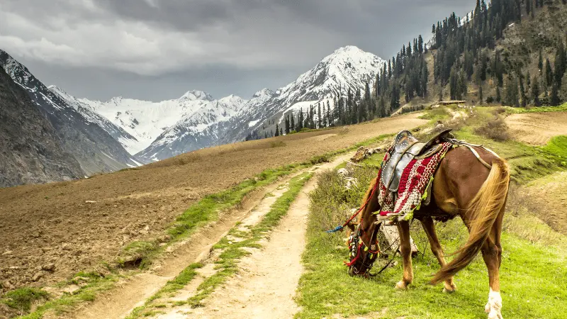 Lalazar Plateau