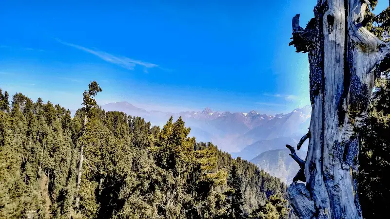 Siri Paye Lake, Shogran