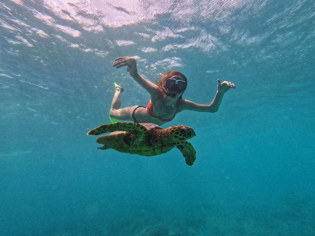 Snorkel with Turtle in Maldives