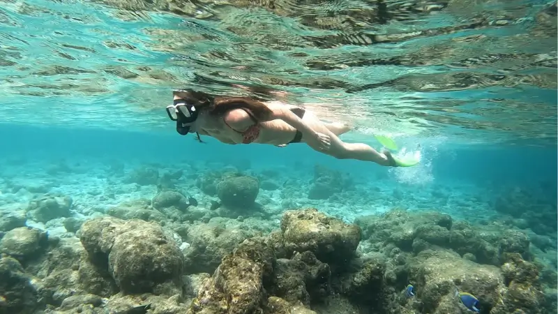 Snorkeling in the Maldives