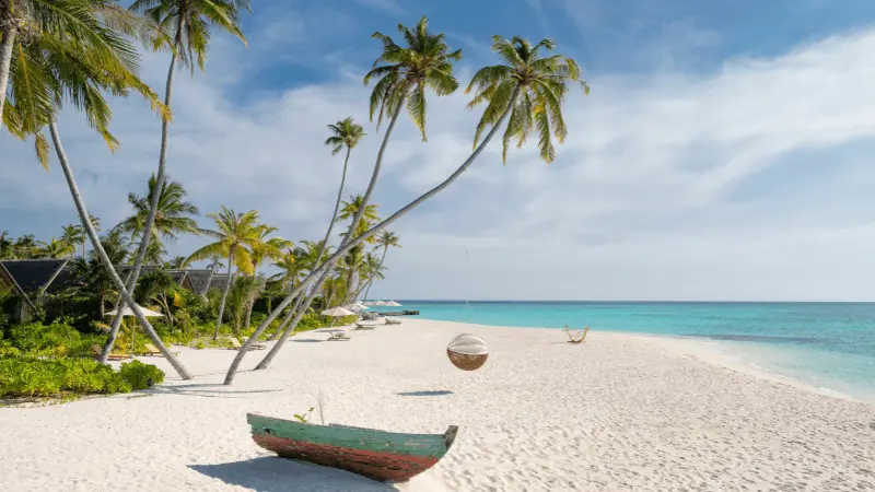 Swaying Palm Trees in the Maldives