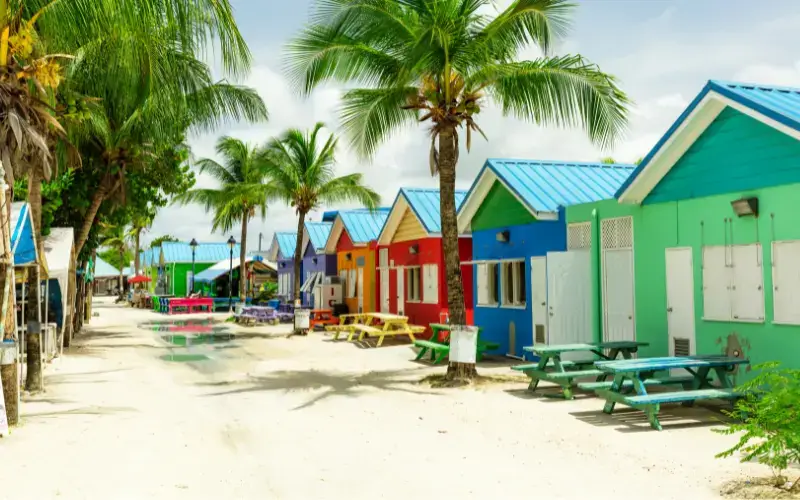 Tropical Houses in Barbados