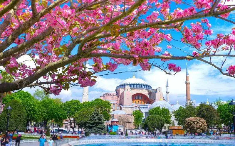 Spring Season In Istanbul, Turkey