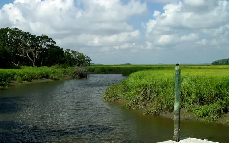 Sapelo Island, Georgia