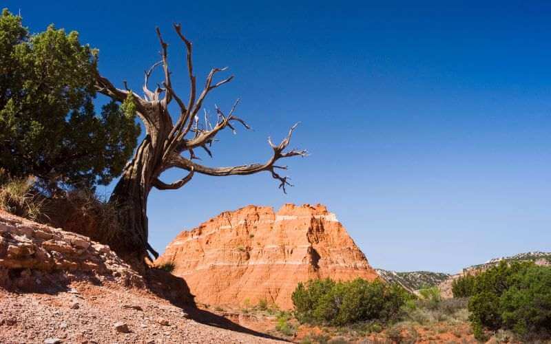  Palo Duro Canyon: Grand Canyon of Texas