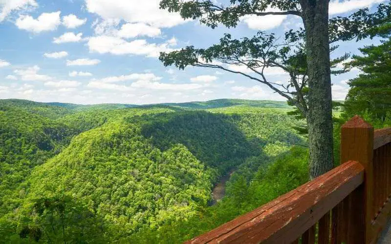 Pine Creek Gorge: Grand Canyon of Pennsylvania