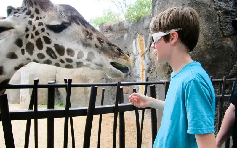 13 Best Zoos In Texas Let Your Kids Witness The Wildlife