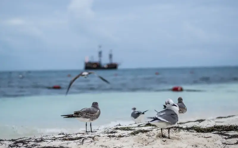 Cancún