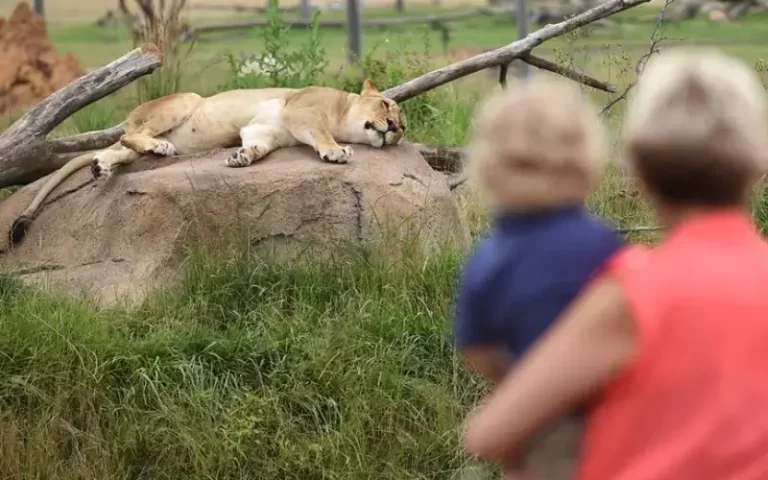 One of the Best Zoos in Ohio - Columbus Zoo