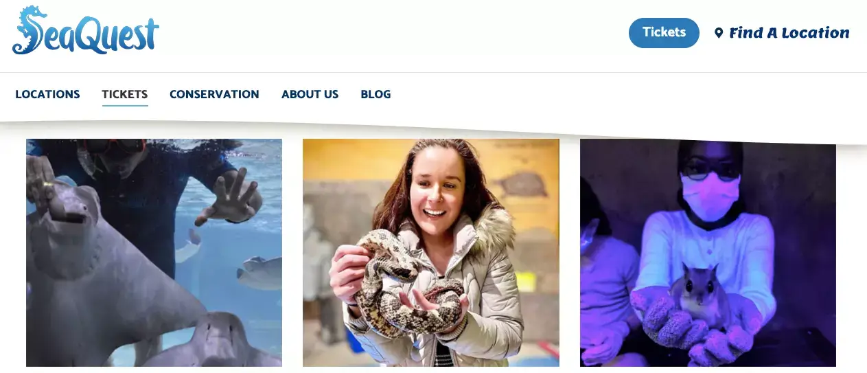 9 Best Zoos In Connecticut + Top Aquariums In CT Area