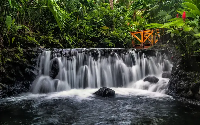  La FortunaLa