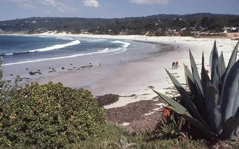 Carmel Beach, Monterey