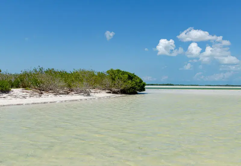 Isla de la Pasion, Quintana Roo
